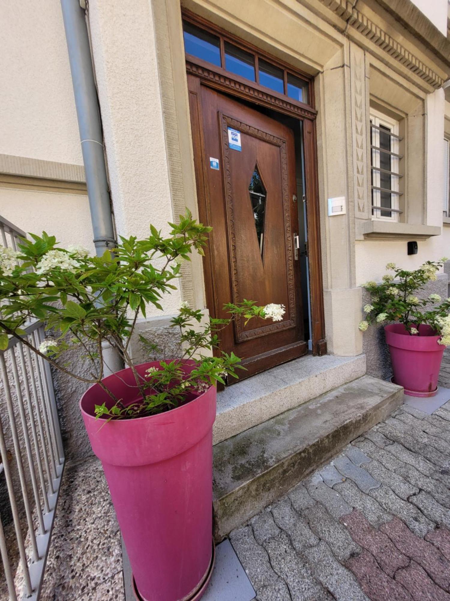 Le Cocon D'Emma, Terrasse, Jardin Et Elegance Dans Maison De Maitre Estrasburgo Exterior foto